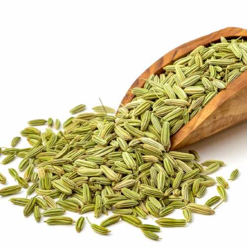 Fennel Seed