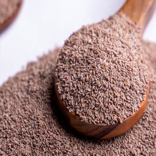 Psyllium Seed