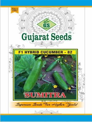 F1 Hybrid Cucumber-82 Sumitra