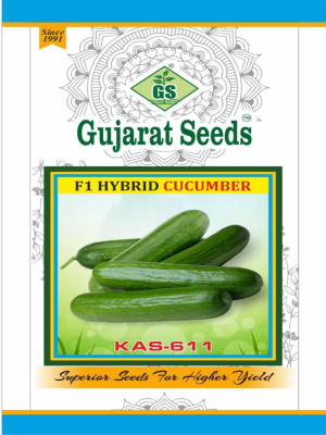 F1 Hybrid Cucumber KAS-611