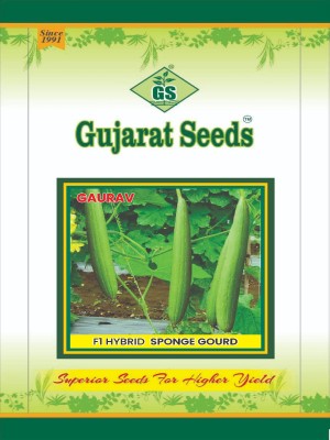 F1 Hybrid Sponge Gourd Gaurav