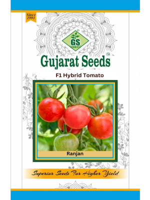 F1 Hybrid Tomato Ranjan